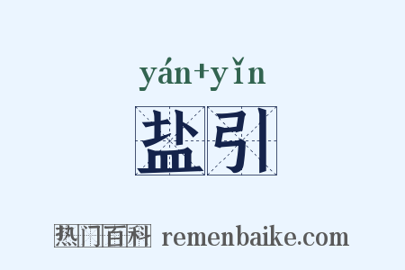 盐引是什么意思的图片